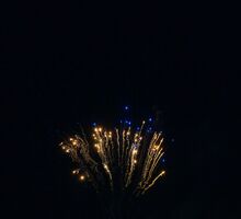 20241220SZO (009).jpg